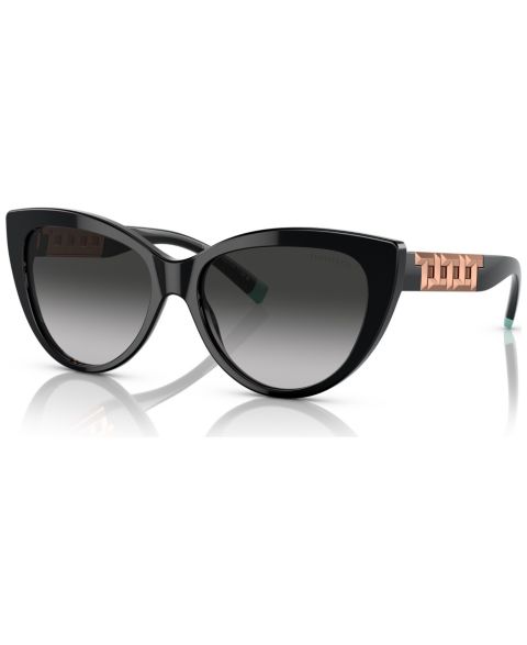 Женские солнцезащитные очки Tiffany & Co. Sunglasses, TF419656-Y, цвет: Чёрный