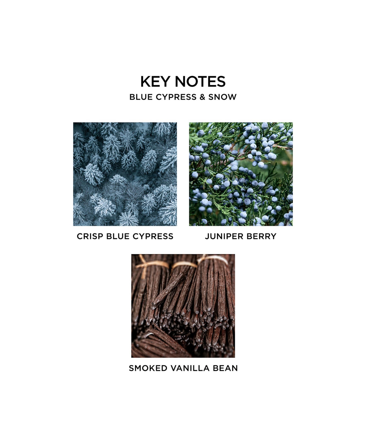Nest New York Blue Cypress & Snow Classic Candle, 8.1 oz