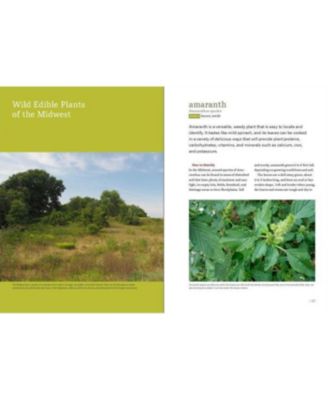 Midwest Foraging: 115 Wild and Flavorful Edibles from Burdock to Wild Peach by Lisa M. Rose