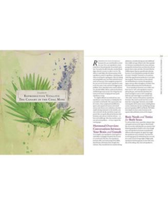 Body into Balance: An Herbal Guide to Holistic Self-Care by Maria Noel Groves