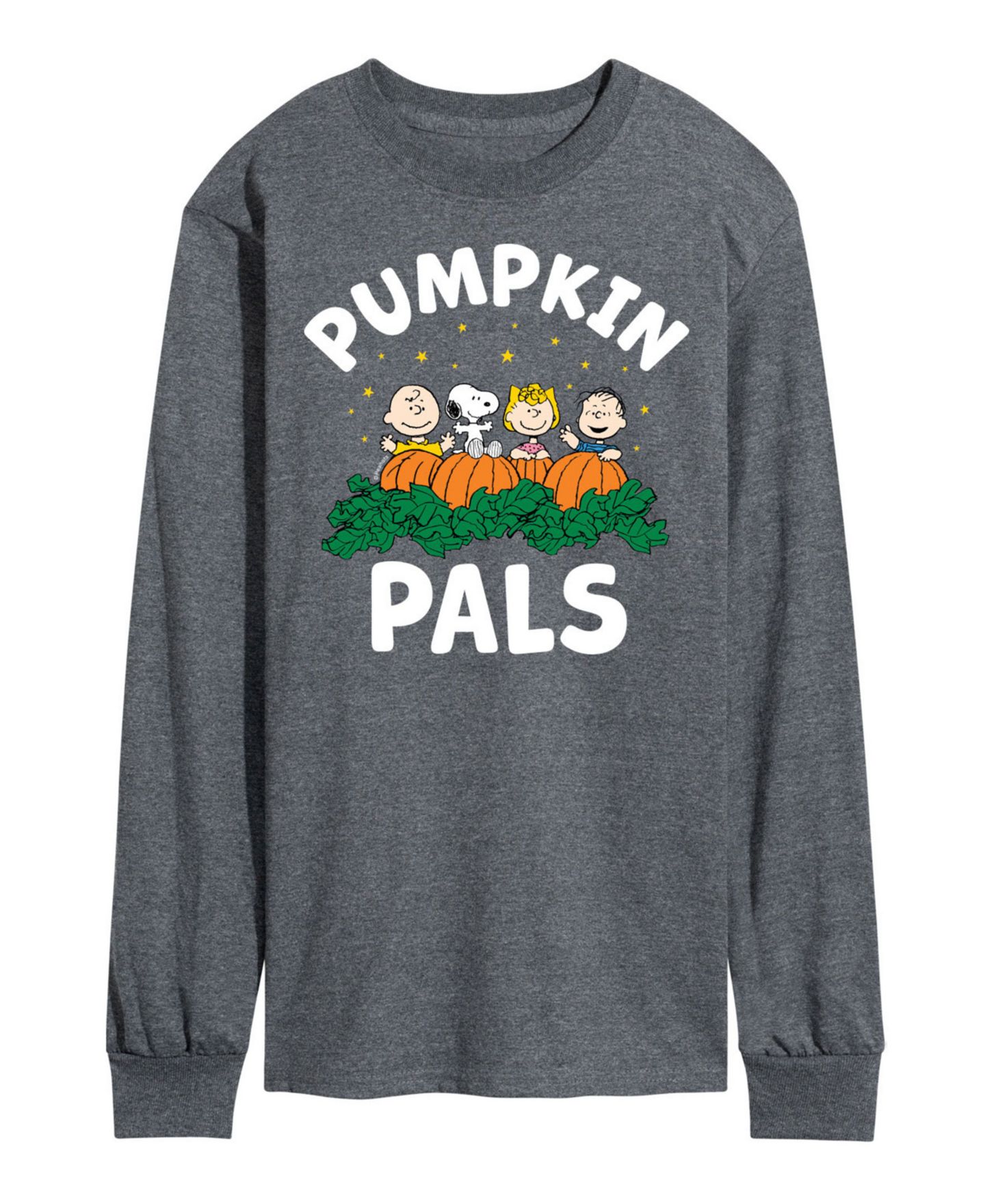 Мужская футболка AIRWAVES Peanuts Pumpkin Pals, цвет: Серый — фото 1