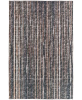Amador Washable AA1 2' x 3' Area Rug