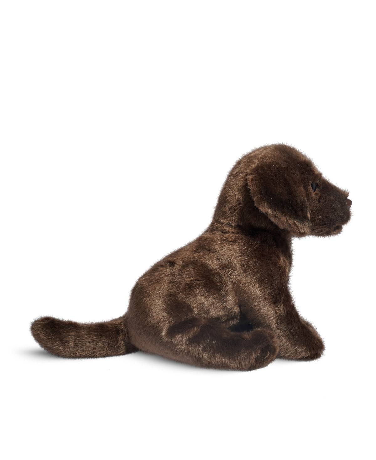 Shop Geoffrey's Toy Box 10" Labrador Puppy Dog Toy, Created For Macy's In Medium Beige