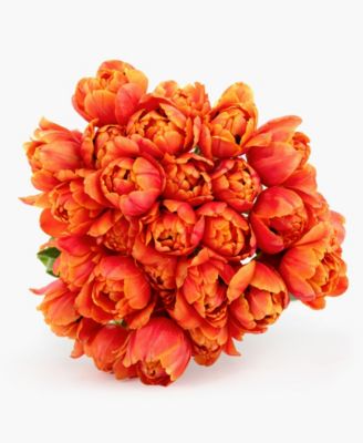 BloomsyBox