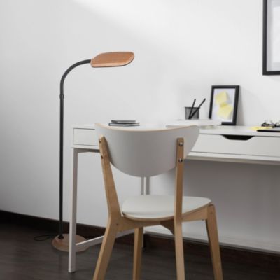 Litespan 53" Dimmable LED Reading Task Lamp with Height Adjustable Gooseneck