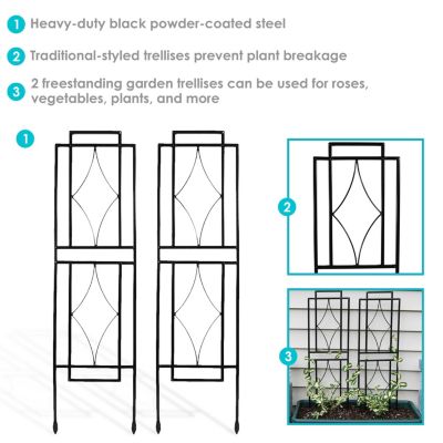 Contemporary Metal Wire Garden Trellis for Climbing Plants and Flowers - 30" H - Black - 2-Pack