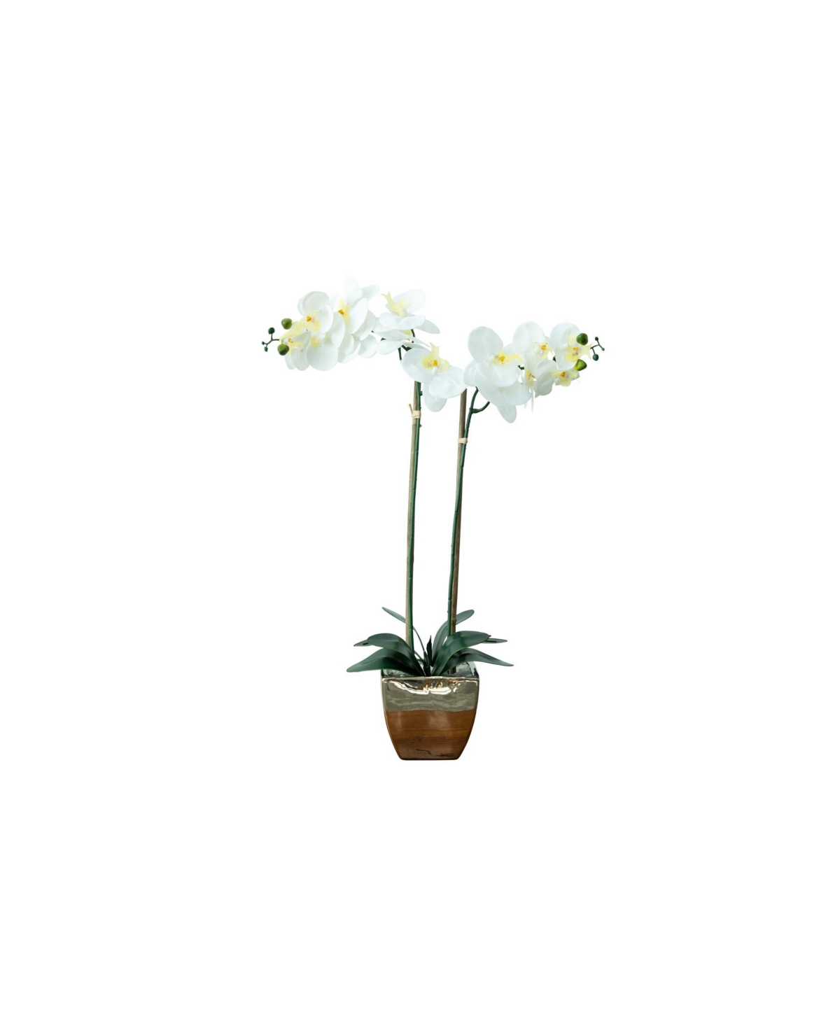 Tabletop Real Touch Artificial Orchid - Gold-Tone