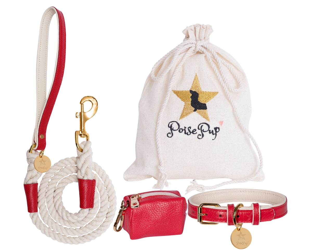 PoisePup Pet Dog 5ft Long Leash -- Melting hearts