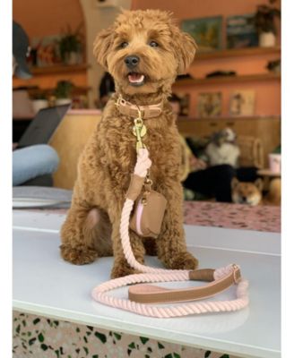 Pet Dog 5ft Long Leash - Bella Rose