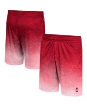 University of Louisville Shorts, Louisville Cardinals Mesh Shorts,  Performance Shorts