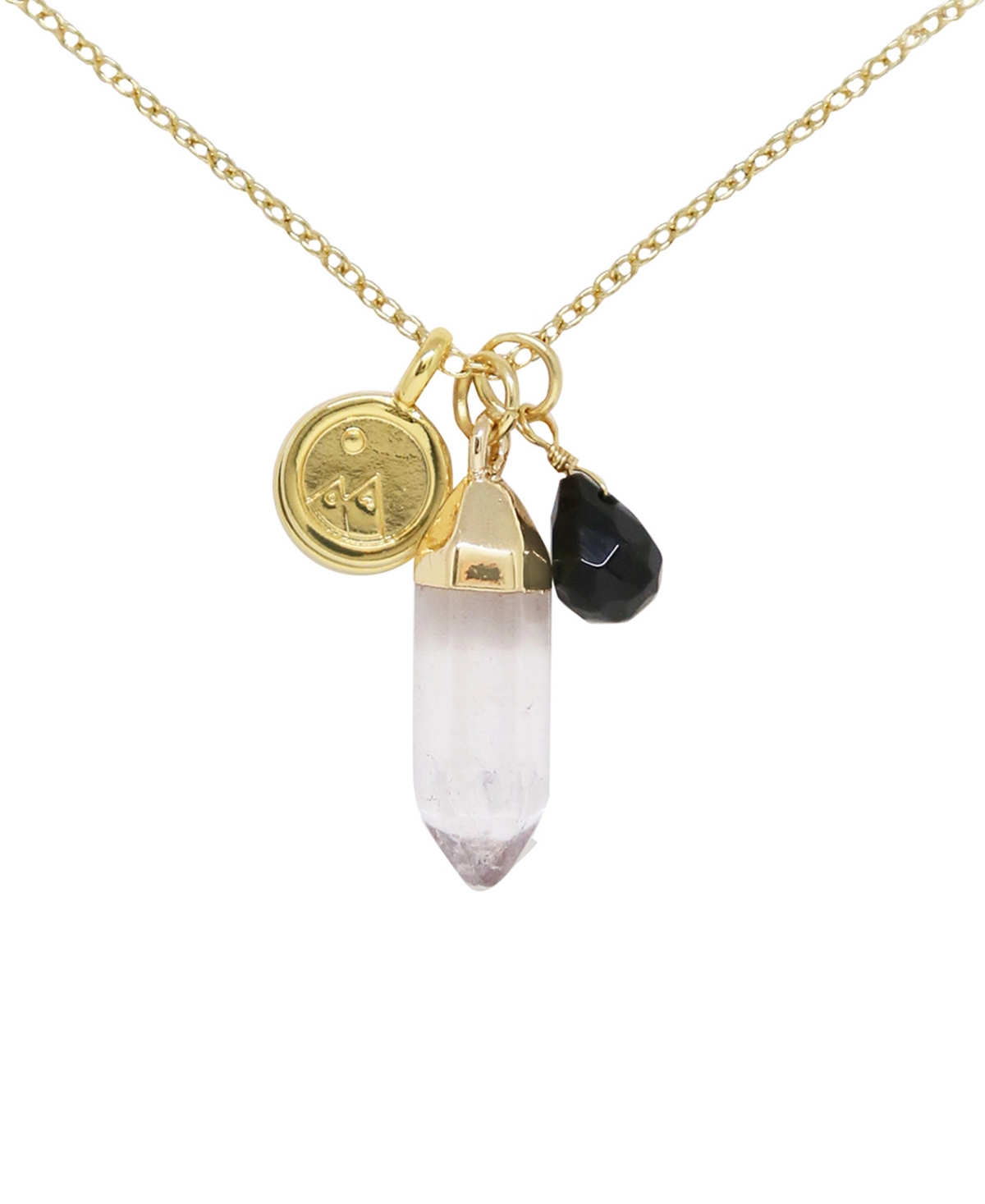 Charged Crystal Gemstone Charm Necklace In Onyx