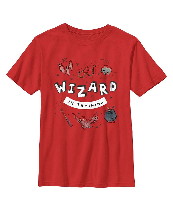 Boy s Harry Potter Wizard Training Child T Shirt