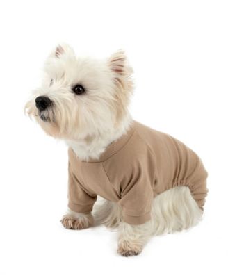 Dog Cotton Solid Pajamas