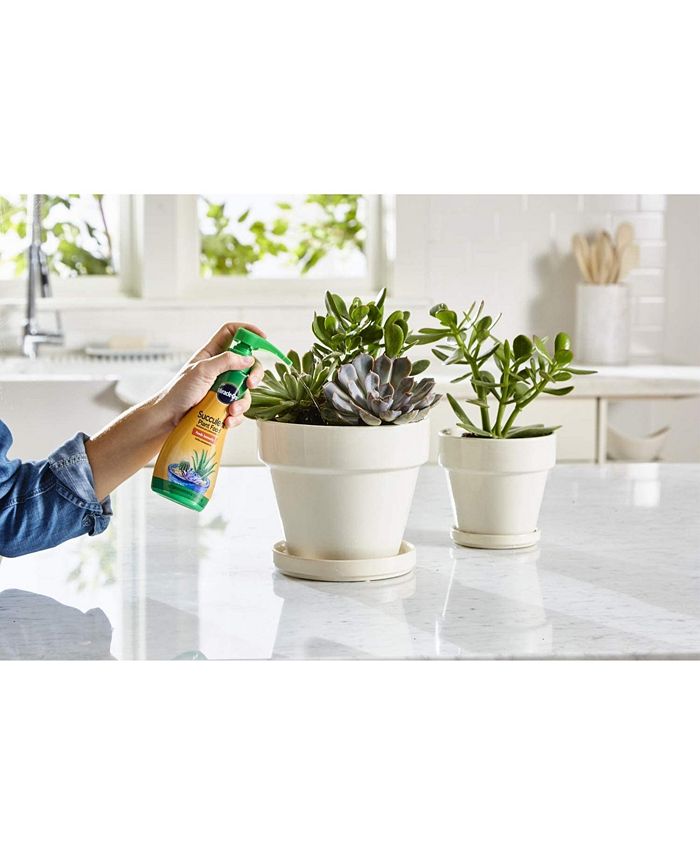 Scotts MiracleGro Succulent Plant Food, 8 oz Macy's