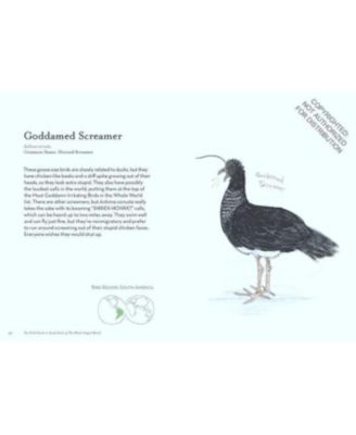The Field Guide to Dumb Birds of the Whole Stupid World by Matt Kracht