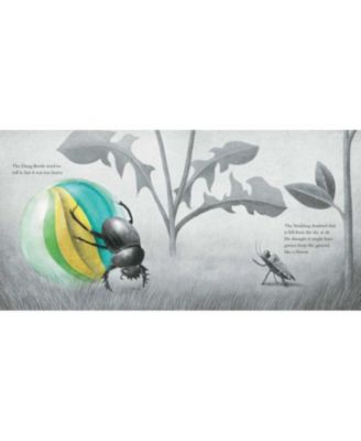 It Fell from the Sky by Terry Fan