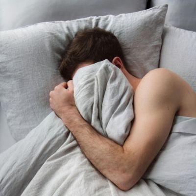 French Linen 2 Piece Pillowcase Set, Standard