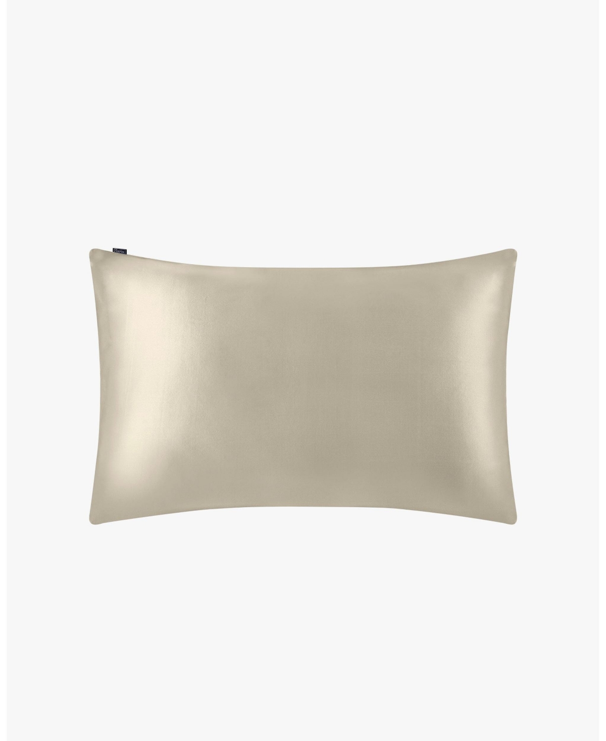 Lilysilk 22 Momme Terse Envelope Silk Pillowcase Queen In Bright Coffee
