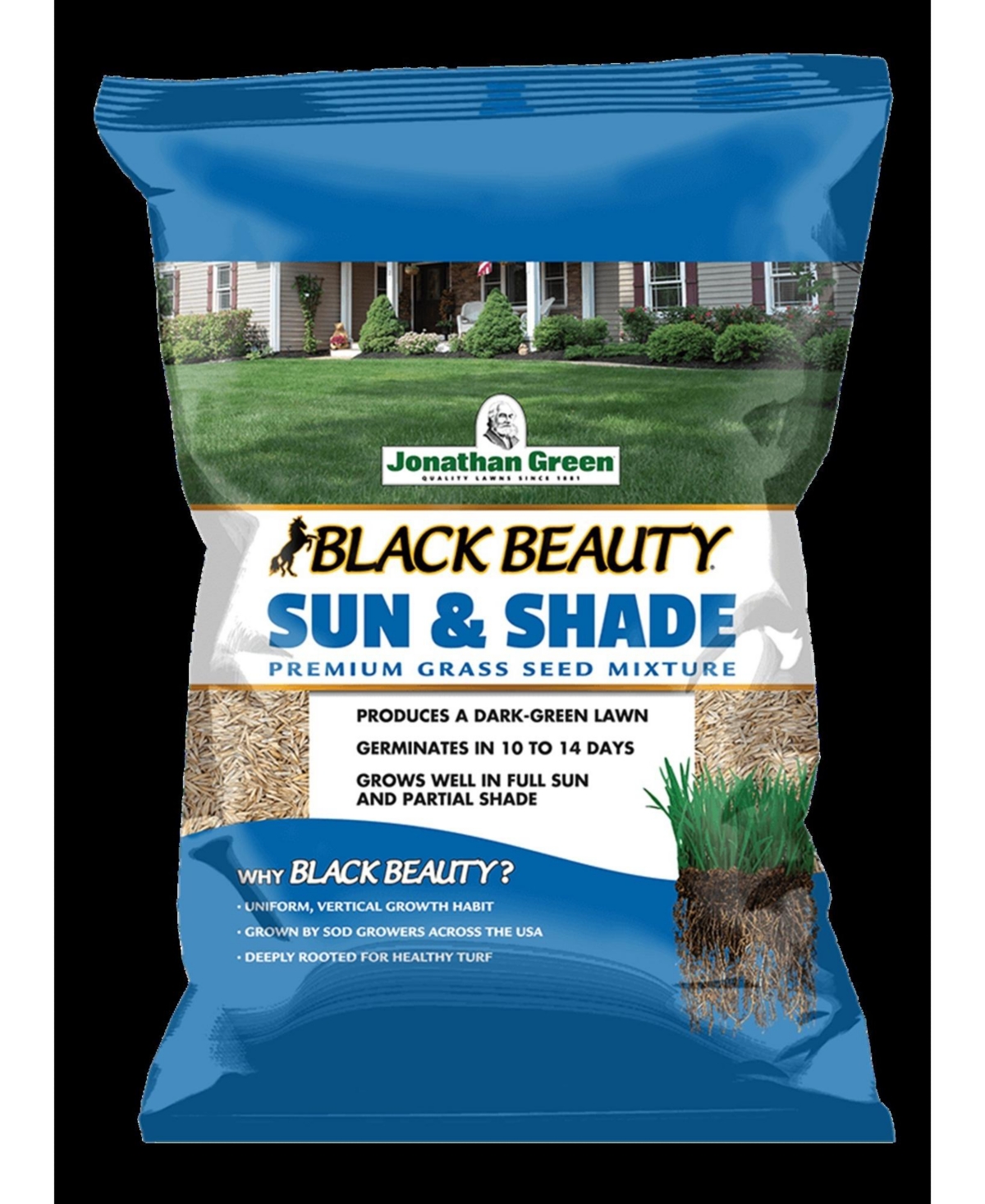 Black Beauty (#12007) Sun & Shade Seed Mix, 50 lb bag - Brown