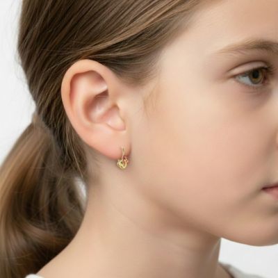 Timeless 14K Gold Plated Double Heart Halo Drop Leverback Earrings