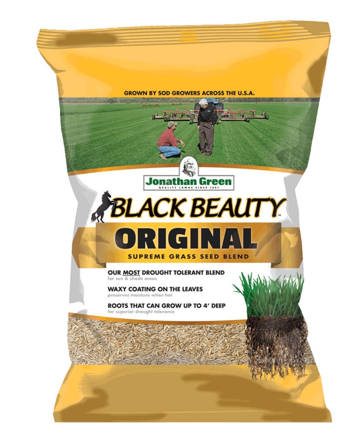 (#10316) Black Beauty Original Grass Seed, 50lb bag - Brown