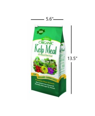 Organic Kelp Meal 1-0-2 - 4 lb Bag