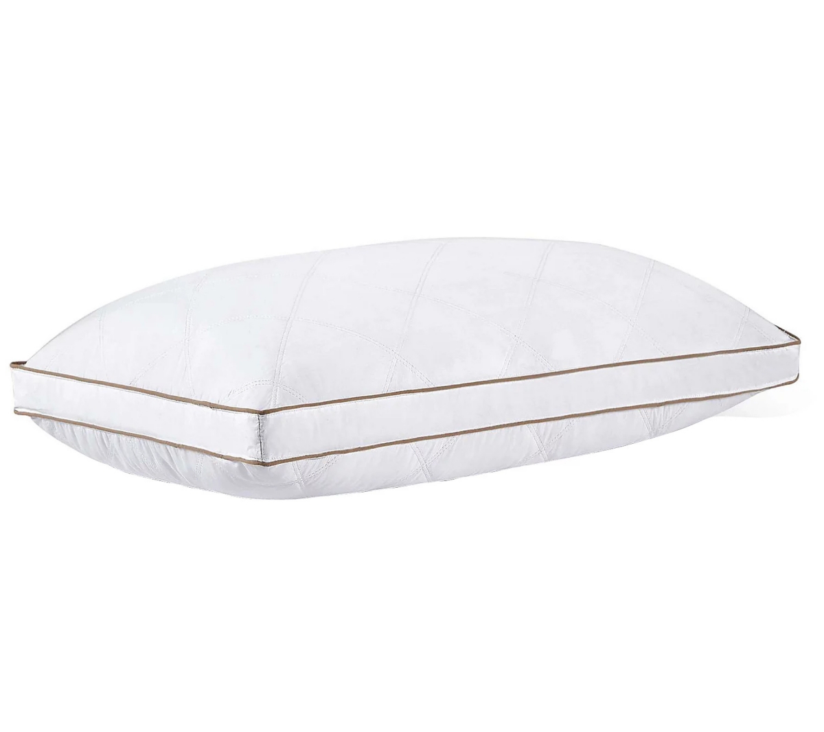 Dr Pillow Goose Feather Pillow In White