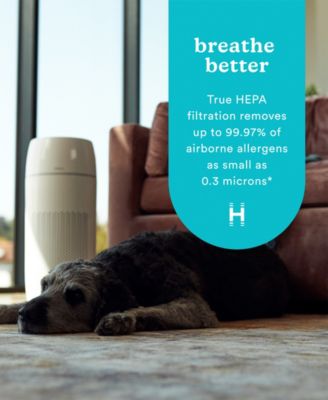 TotalClean PetPlus 5-in-1 Tower Air Purifier with UV-C Light for Large Rooms