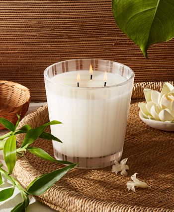 Something Tropical Decorative 3-Wick Candle by Nest New York