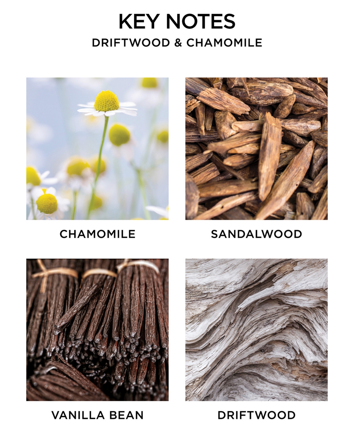 Nest New York Driftwood & Chamomile Reed Diffuser, oz