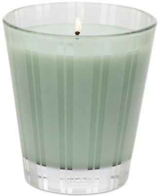 Wild Mint & Eucalyptus Classic Candle, 8.1 oz.
