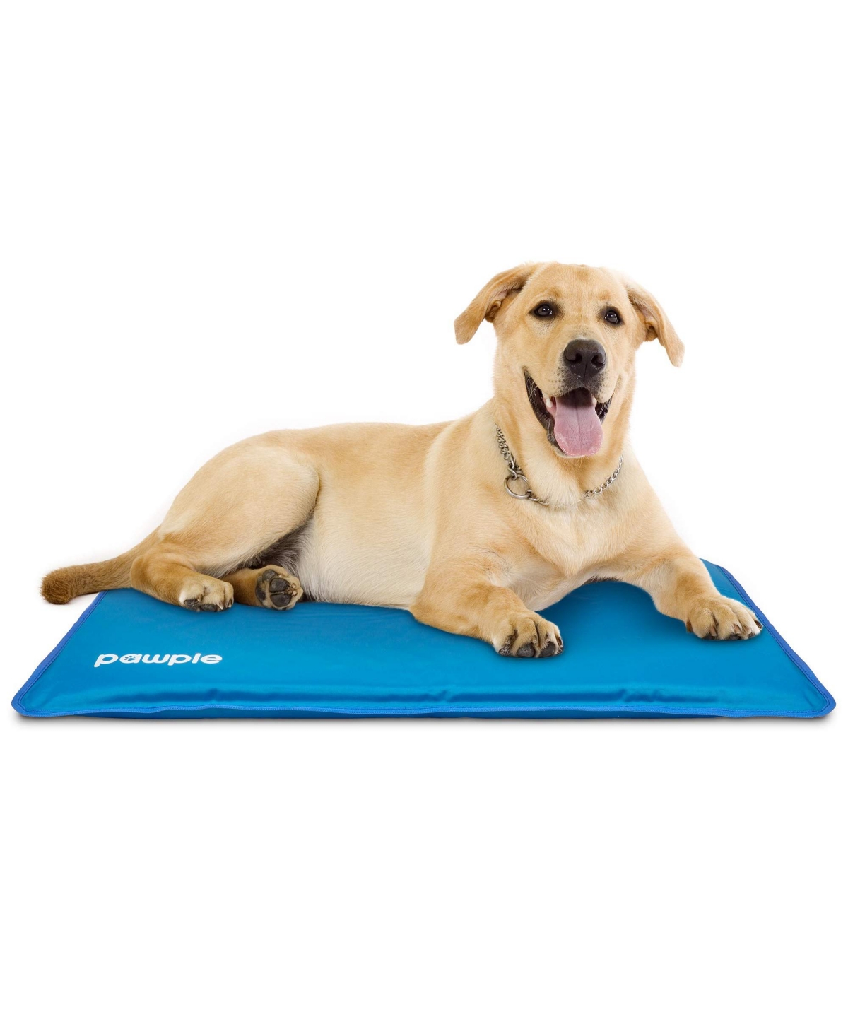 Self Cooling Pet Bed, Dog Mat for Crates and Beds - Large - Blue