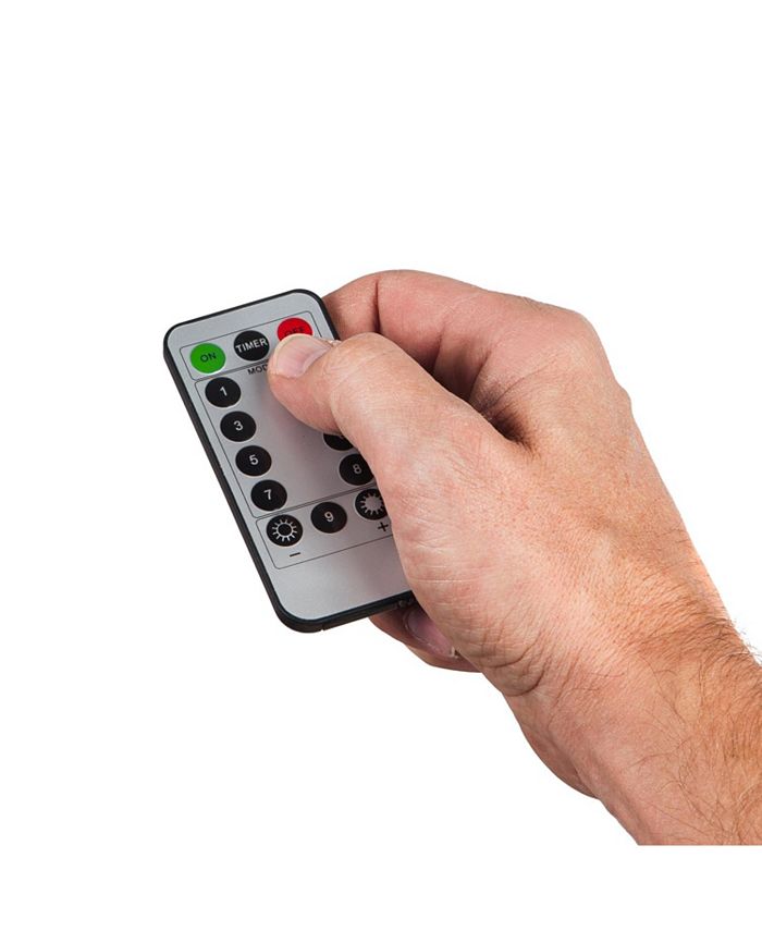 Evergreen Solar Bird Bath Remote Macy's