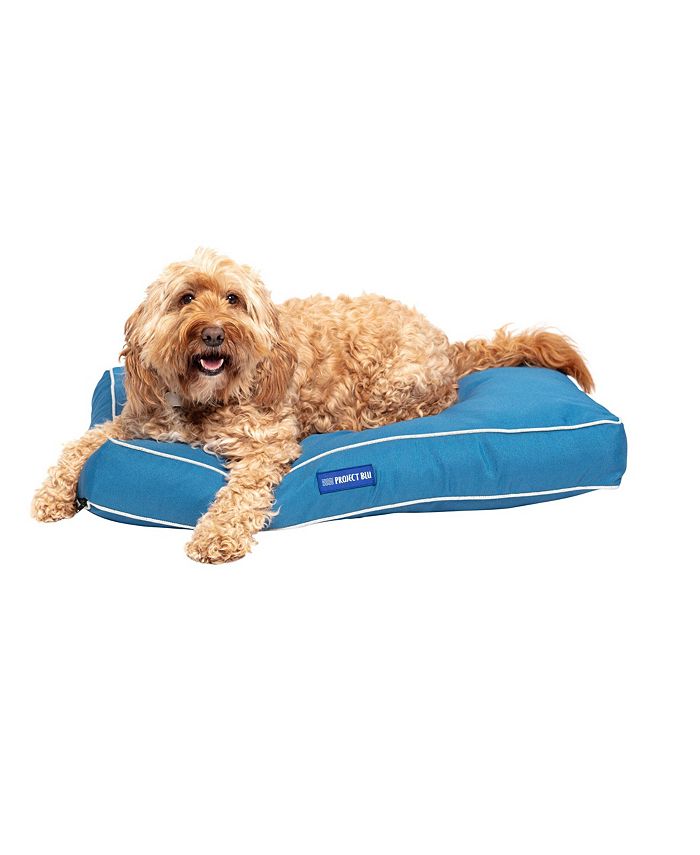 JoJo Modern Pets Marlin EcoFabric Mattress Dog Bed Medium Macy's