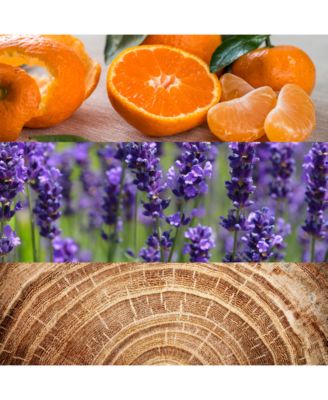 Men's Obsession For Men Deodorant Stick, 2.6-oz.