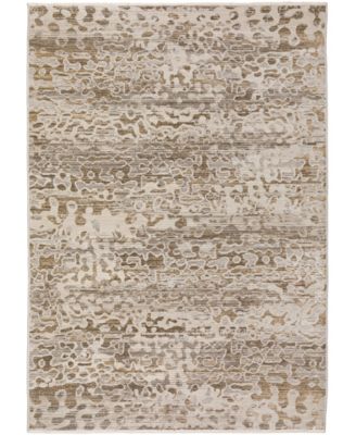 Denizi DZ6 5'3" x 7'8" Area Rug