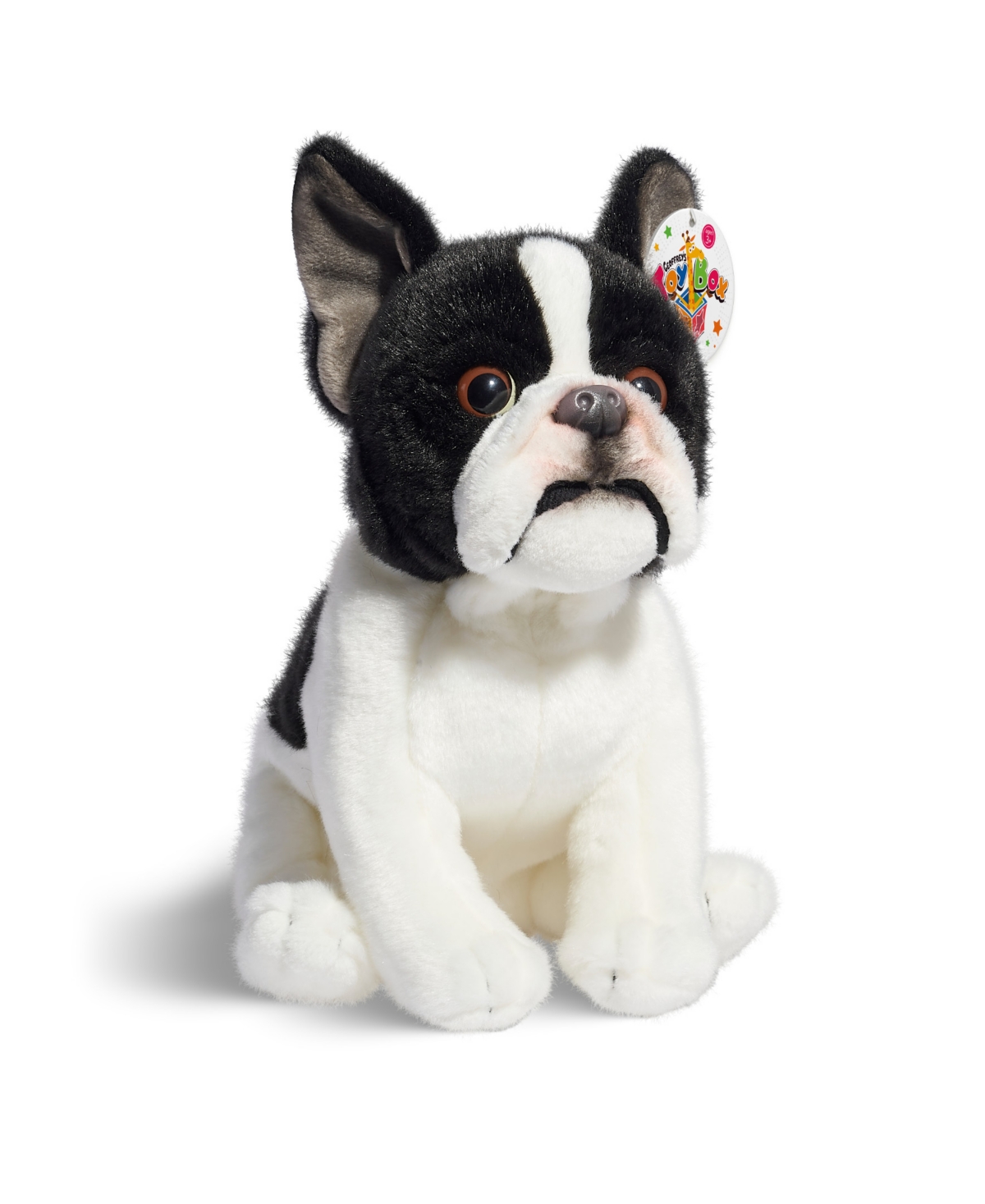 Geoffrey's Toy Box Kids' 10" French Bulldog Puppy Dog Toy, Created For Macy's In Black