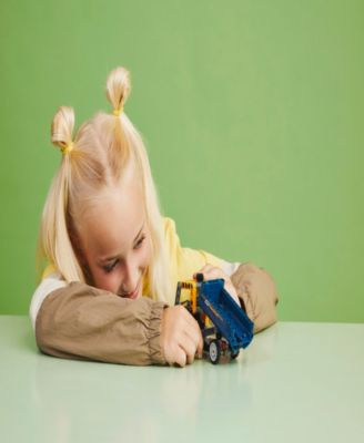 LEGO® Technic Dump Truck 42147 Toy Building Set