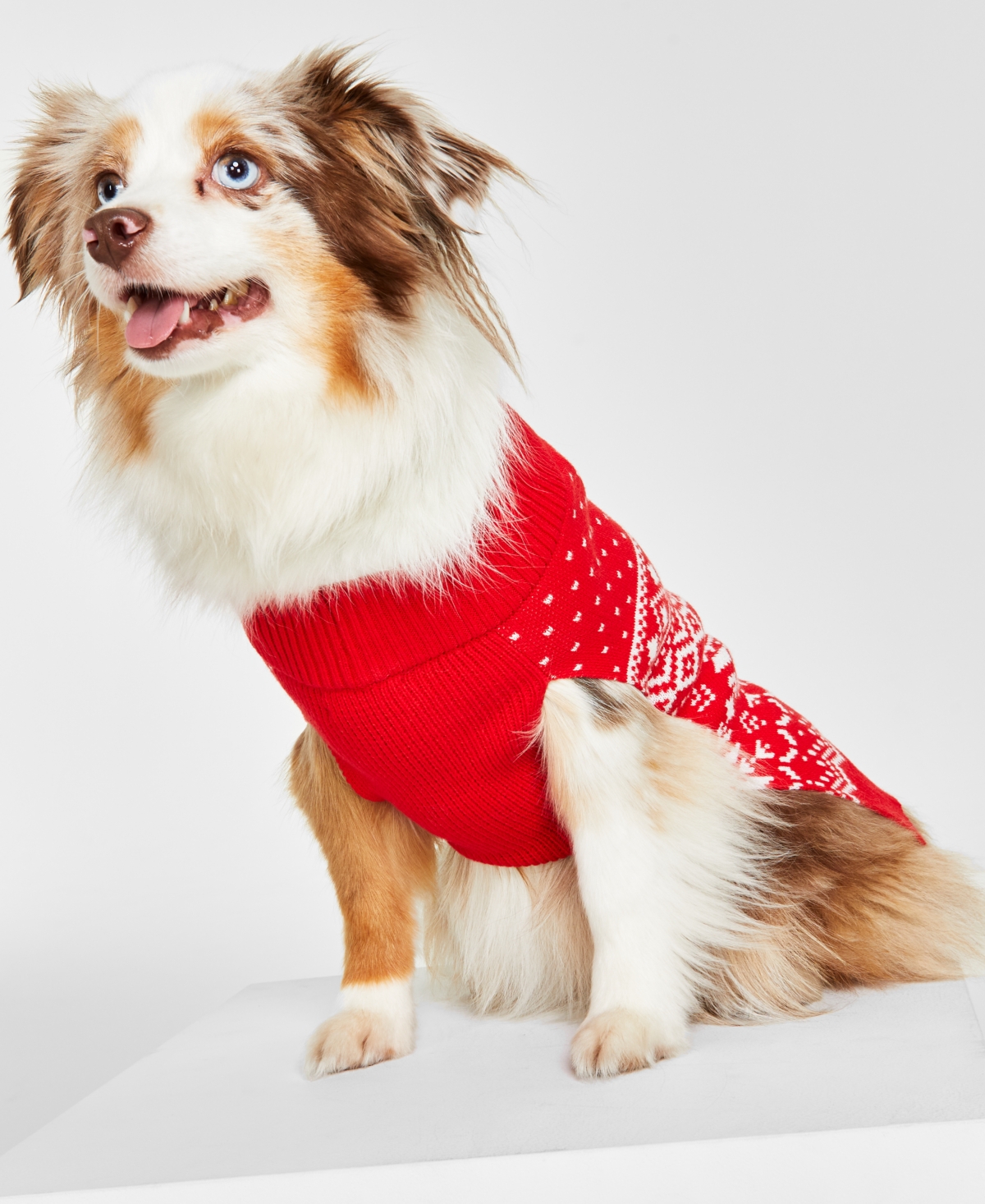 Holiday Lane Festive Fair Isle Pet Sweater, Created for Macy's - Ravishing Red Combo
