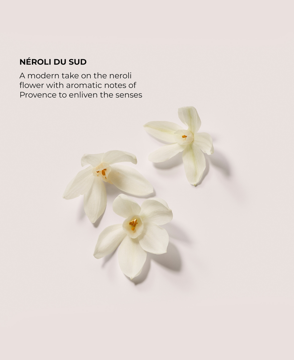 Laura Mercier Souffle Hand Cream In White