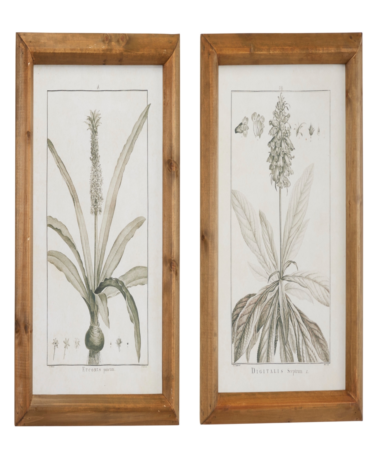 Rosemary Lane Wood Leaf Framed Wall Art With Brown Frame Set Of 2, 17" X 21" In Light Brown