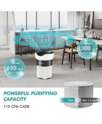 Air Purifier Replacement Filter 3-in-1 H13 True HEPA for Dust Smoke Home Office