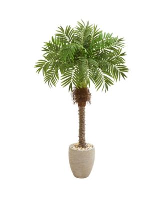Nearly Natural - 63” Robellini Palm Artificial Tree in Sandstone Planter