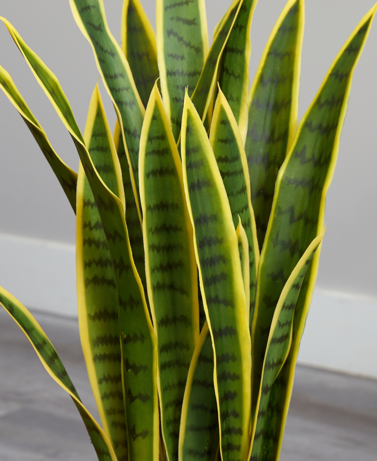 NEARLY NATURAL 33" SANSEVIERIA ARTIFICIAL PLANT IN WHITE PLANTER 