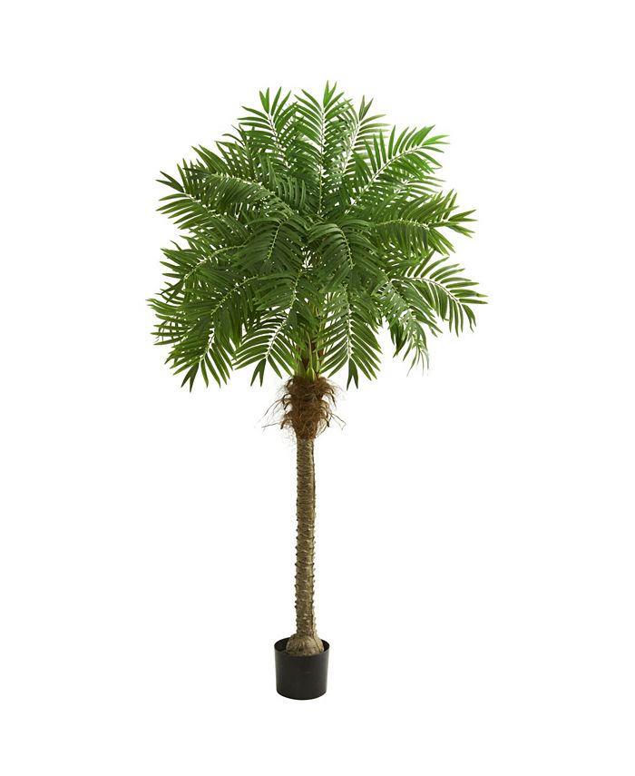 Nearly Natural 80” Robellini Palm Artificial Tree - Macy's