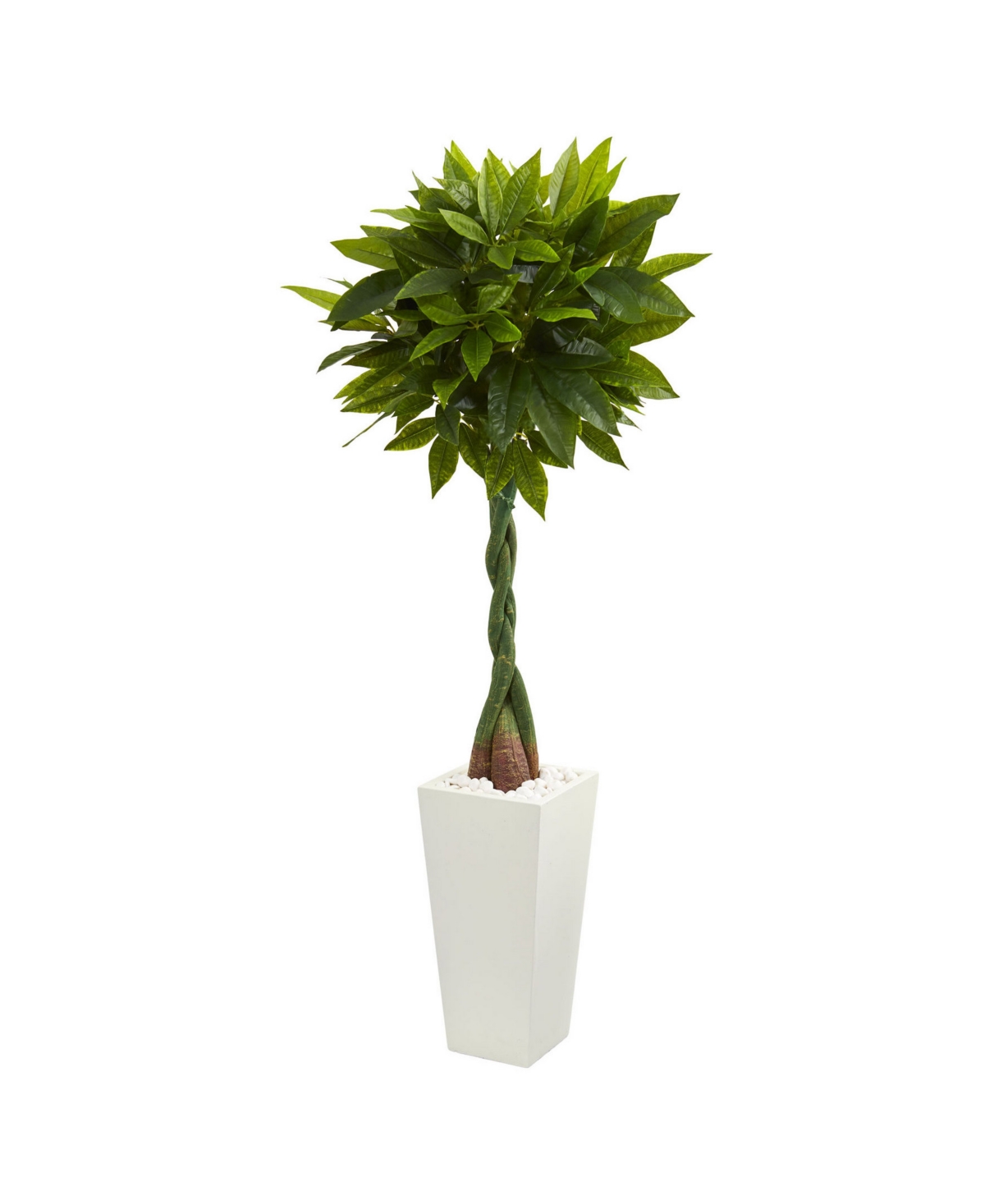 5.5' Money Artificial Tree in White Tower Planter - Real Touch - Green