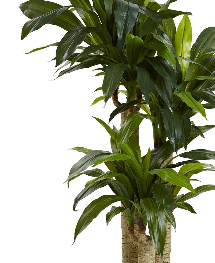Nearly Natural 4.5' Cornstalk Dracaena Real Touch Artificial Plant in