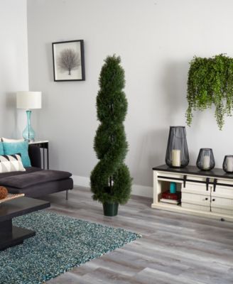 Double Pond Cypress Spiral Indoor/Outdoor Topiary