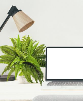 Boston Fern Artificial Plant in White Planter