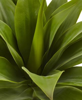 32" Agave Plant w/ Stem